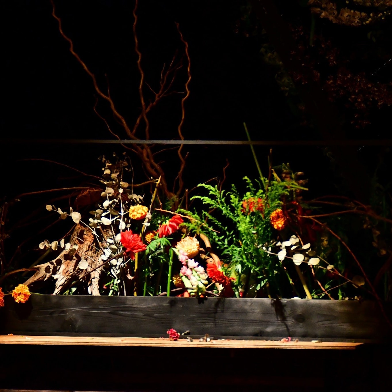 植物の命を福岡の花屋集団がいける
